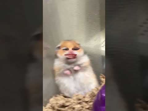 28 de septiembre de 2024