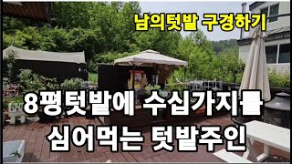 수십가지 작물들이 8평 미니텃밭에 심어져 있는 텃밭주인 텃밭 구경하시죠~ #텃밭주인텃밭 #예쁜텃밭 #귀농귀촌…