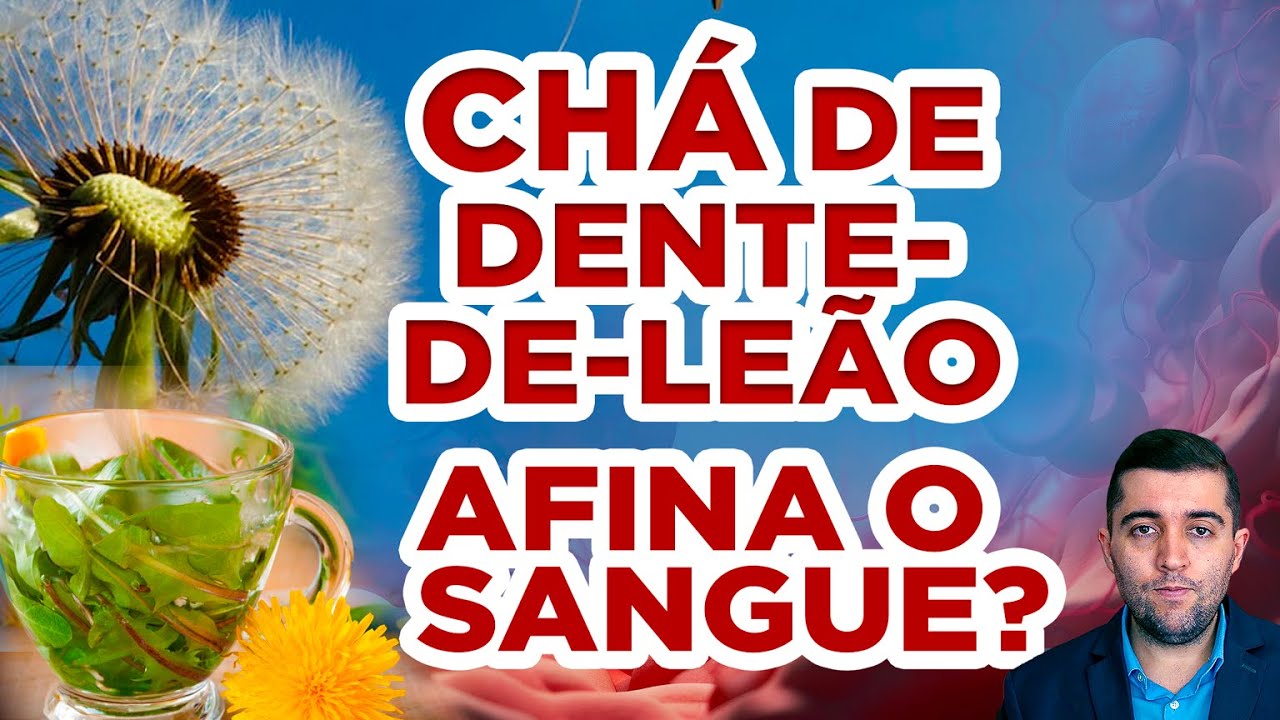 Incríveis efeitos do chá de dente-de-leão contra veias entupidas e má circulação: afina o sangue?