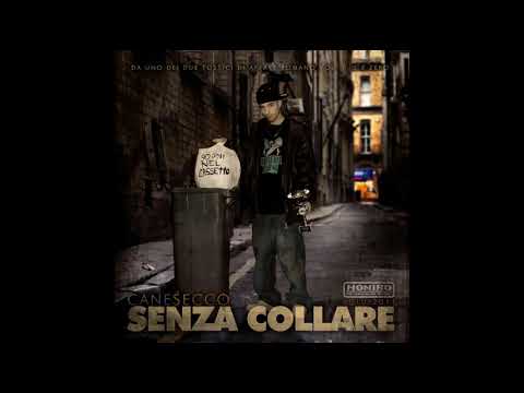 Canesecco - Dieci A Zero