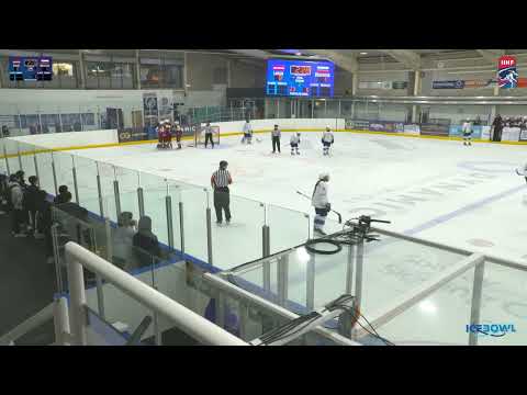 Elizabete Laima Lukaševiča Goal vs Slovenia 10.04.2025 | IIHF Women's WC IB (Latvija - Slovēnija)