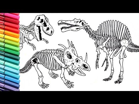 Drawing and Coloring Dinosaurs Skeleton - How to Draw and Color Dinosaurs From Jurassic Parck