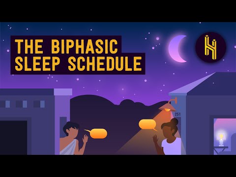 Why Humans Are Supposed to Sleep in Two 4-Hour Phases