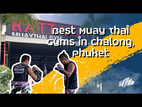 Top 8 Muay Thai Gyms in Chalong, Phuket - Which One is Right for You?