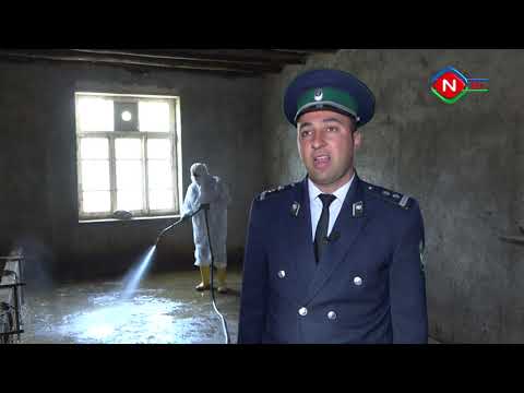 Bərəkət - 05.11.2021