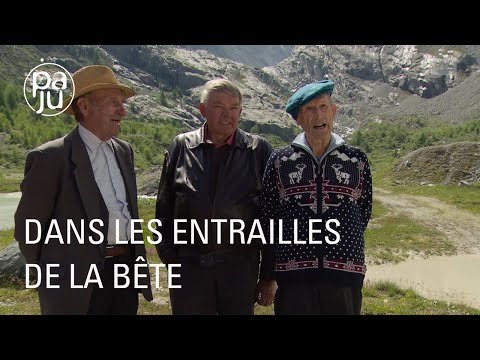 They built the world's tallest dam, the Grande Dixence