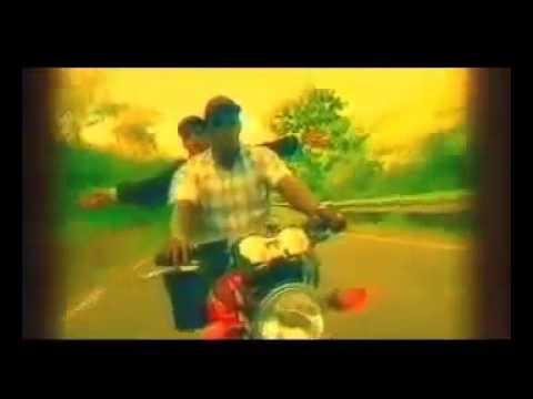 PAPA TANK - TO TO TO