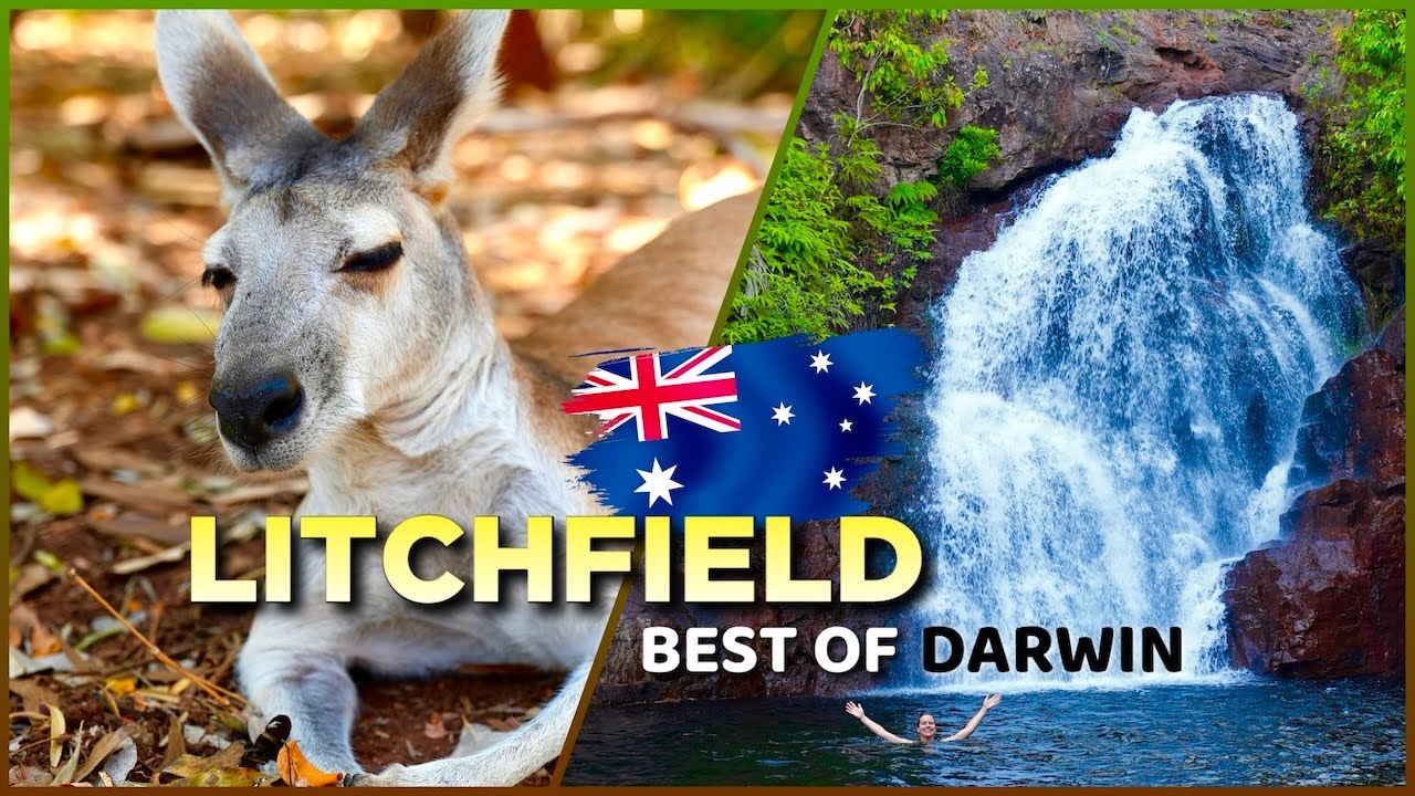 Experience adventure, swimming, and breathtaking scenery in the outback.