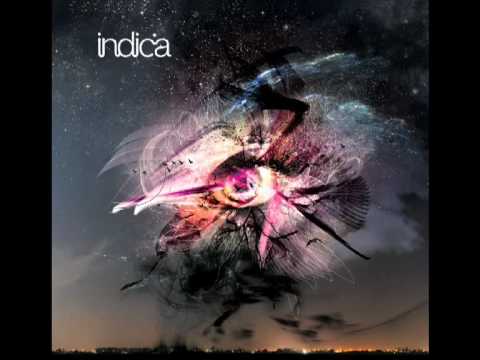 Indica - Cassius Clay