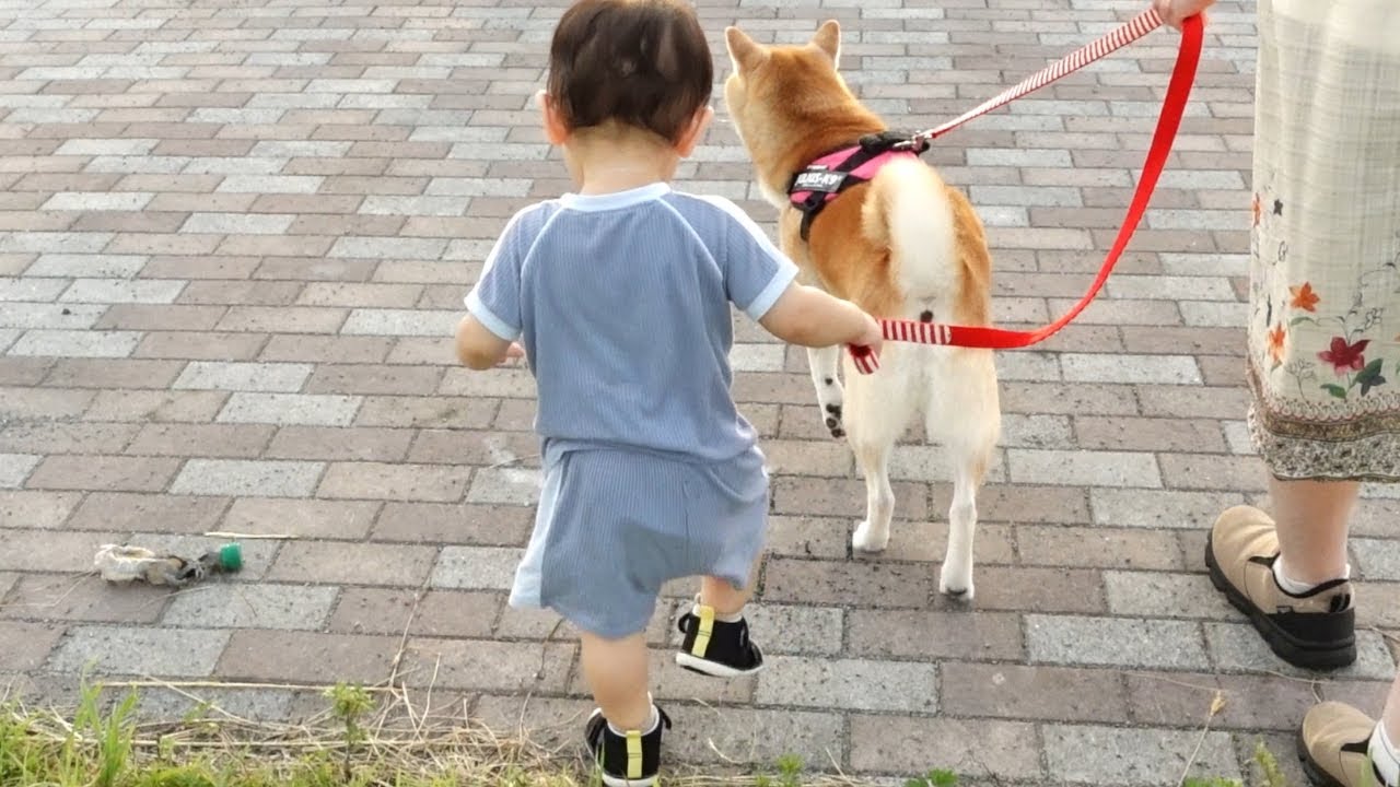 共に歩いてゆく兄弟