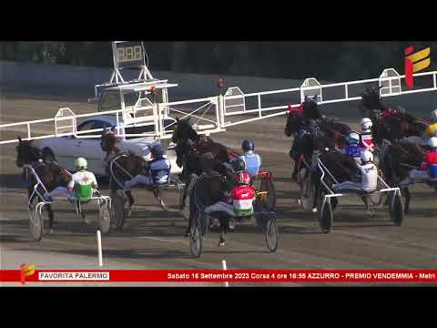 IV Corsa del 16 Settembre 2023 - 4 Anni - Metri 1600