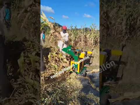 Trabajo que desempeña el campesino, Somoto, Madriz, al norte de Nicaragua 2026