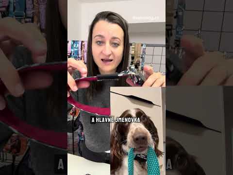 Zamidog video