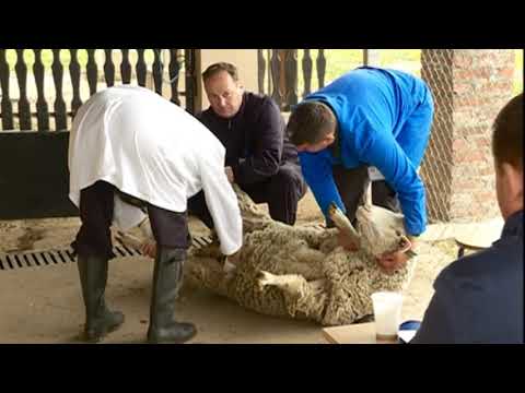 Po jedno odeljenje  manje u Gimnaziji i TTPŠ Despot Đurađ