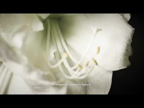 Видеообзор