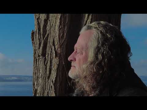 Changing your field of consciousness - Medium Gerhard Vester