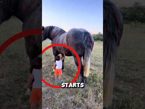 The boy no one believed… until he showed his horse friend ❤️ #horse