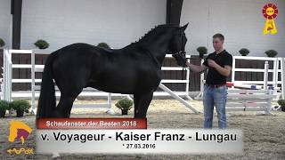 Video of Von Voyageur