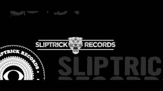 Damned Pilots /Trailer -Overgalaxy  - Sliptrick Records