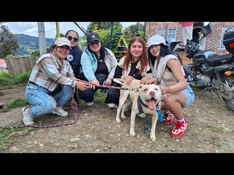 Tiempo que acaricia 🐾 | Un día ayudando a quienes no tienen voz
