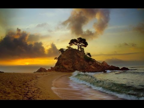 Melodic Echoes #12 - Best of Andy Blueman