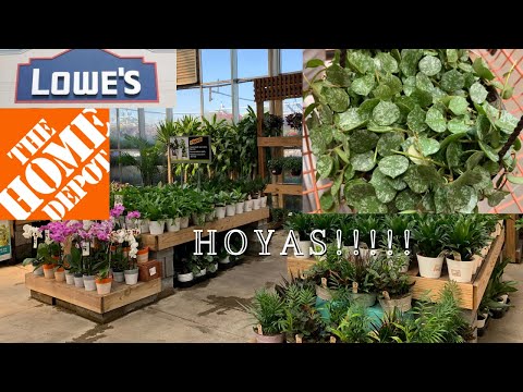 image-Are Home Depot and Lowes owned by the same company?