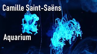 Download lagu サン=サーンス　動物の謝肉祭より　水族館　Saint-Saëns　Le carnaval des animaux　Aquarium mp3