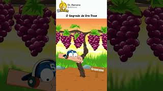 SEGREDO para ter UVAS GIGANTES
