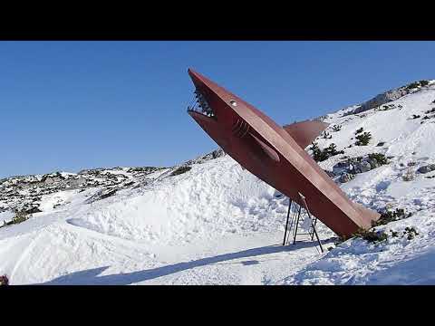 Dachstein-Hai, Februar 2021