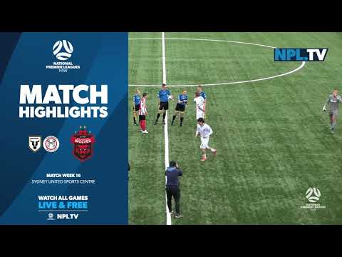 NPL NSW Men's Round 16 – Northbridge Bulls v Wollongong Wolves