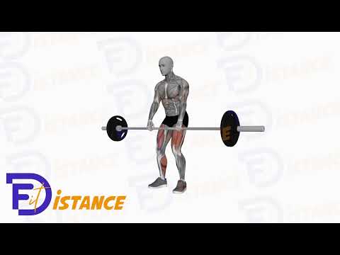 Exercice Soulevé de terre à la barre