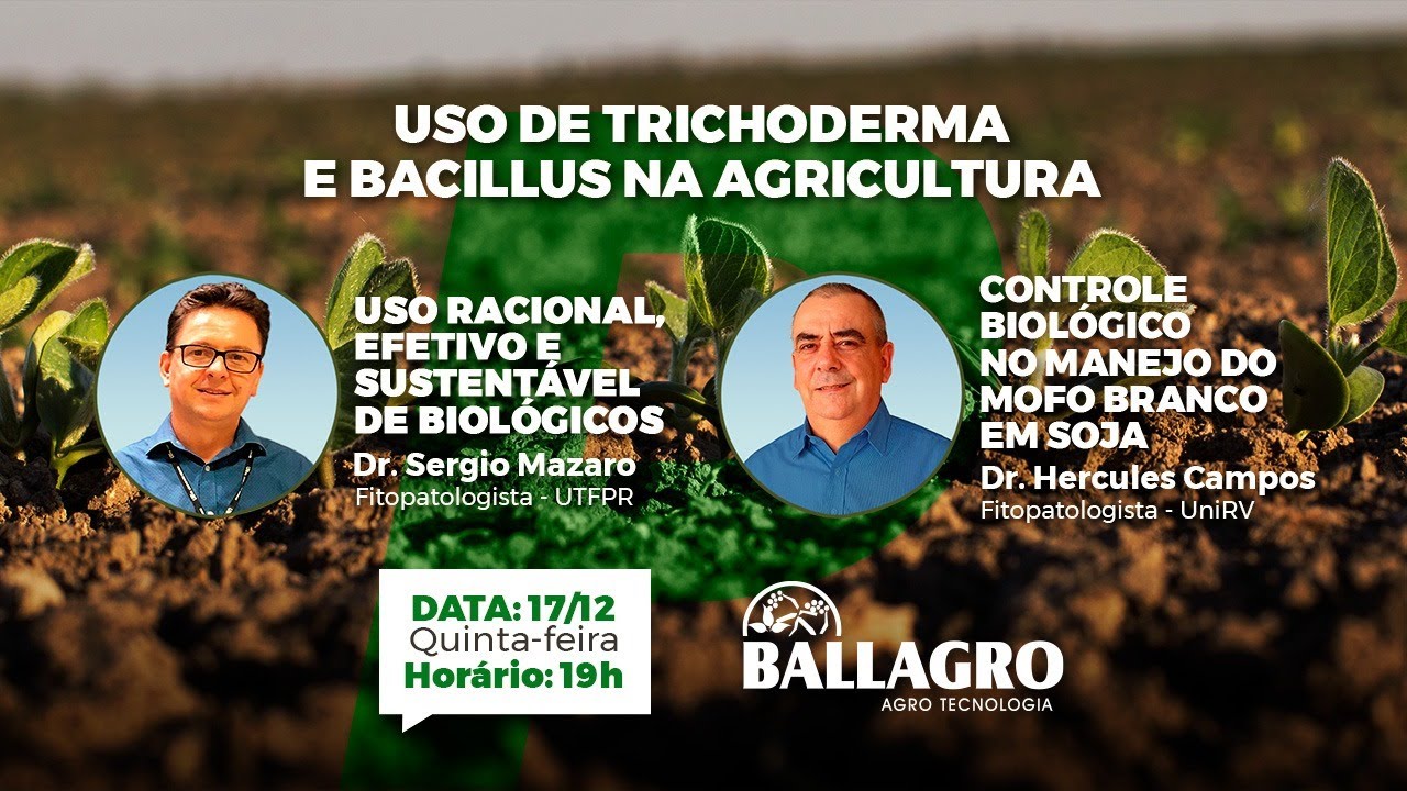 Uso de Trichoderma e Bacillus na Agricultura
