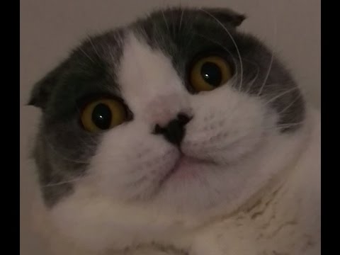 PyRo playing with Girl Gamer , Gang , KyLo and Claux the mother fuc*ing  Slender Prison