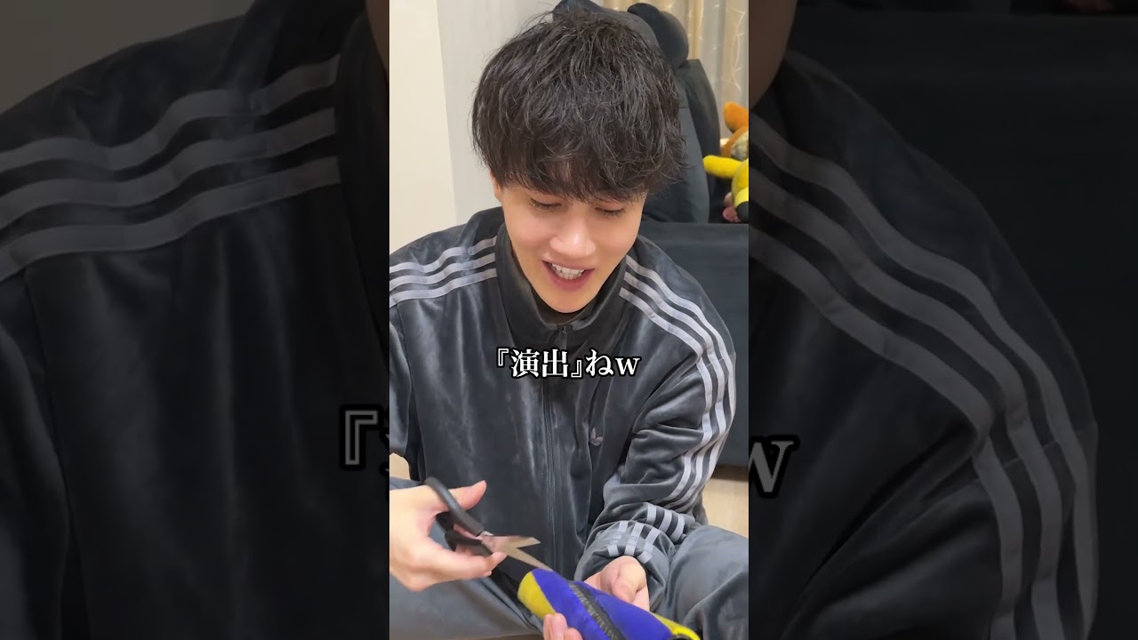 親友にダイソンの徹底掃除叩き込んでみた