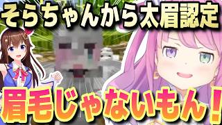 そらちゃんから太眉疑惑をかけられてスキンチェンジするルーナ姫【ホロライブ/姫森ルーナ/切り抜き】