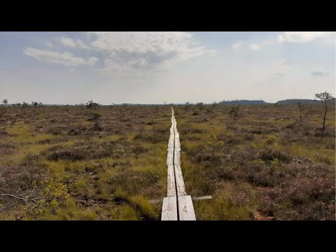 Västervik und Store Mosse