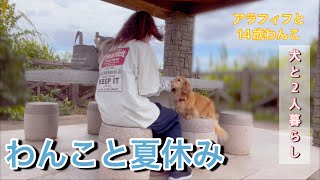 わんこと夏休み【アラフィフと14歳わんこ】【犬と2人暮らし】