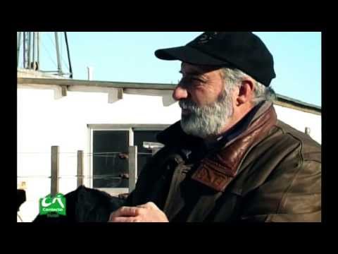 CABAÑA "LA SULTANA" de GROPPO - #CostumbresRuralesCR 2005