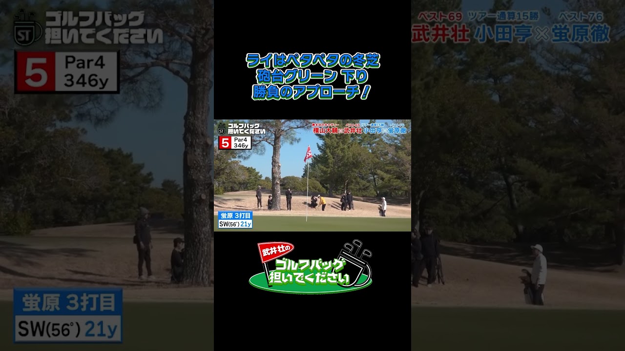 【ライはペタペタの冬芝 砲台グリーン下り 勝負のアプローチ！】武井壮のゴルフバッグ担いでください/#武井壮#プロキャディー #golf #ゴルフ #shorts #切り抜き #プロゴルファー#蛍原徹