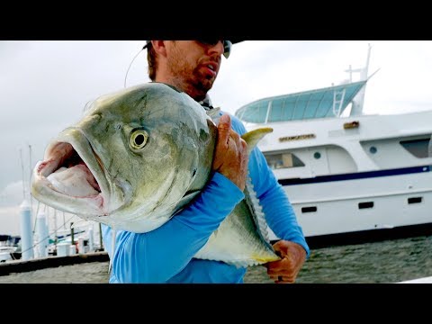 Fishing for Inshore MONSTERS by the Docks