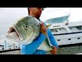 Fishing For Inshore MONSTERS By The Docks