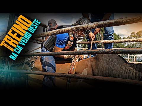 TREINO na CIA de RODEIO VELHO OESTE com EDEVALDO FERREIRA 2025