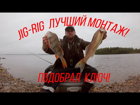 JIG-RIG удивил! Хищник осенью !