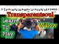 Willow Transparentsoul Drum Tutorial Lesson Breakdown