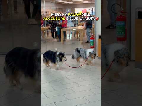 Anche Blue non è che fosse felicissima 😅