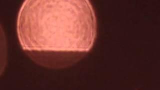 Evanecente- Diablo Swing Orchestra-Qualms Of Conscience.