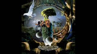 AMORPHOUS ANDROGYNOUS - 12 Tiny Space Birds