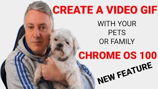 Chrome OS 100 new feature - Create a video GIF