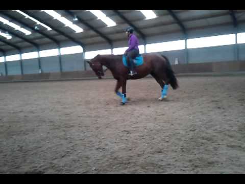 video-2012-11-01-11-54-27