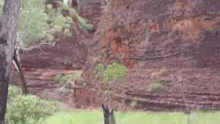 preview picture of video 'Walk through the Kimberley Kununurra 2'